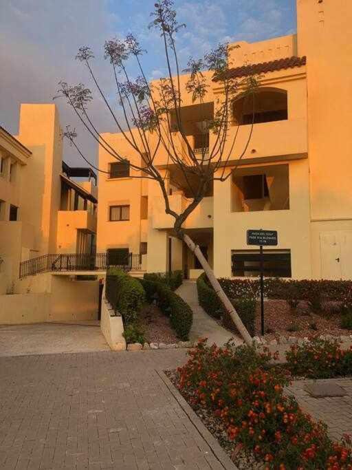 Casa Palmera サン・ハビエル エクステリア 写真